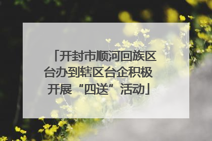 开封市顺河回族区台办到辖区台企积极开展“四送”活动