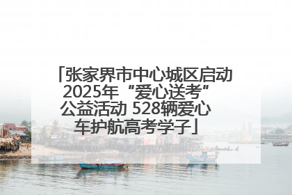 张家界市中心城区启动2025年“爱心送考”公益活动 528辆爱心车护航高考学子