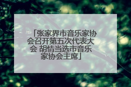张家界市音乐家协会召开第五次代表大会 胡情当选市音乐家协会主席