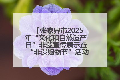 张家界市2025年“文化和自然遗产日”非遗宣传展示暨“非遗购物节”活动在慈利县盛大启幕