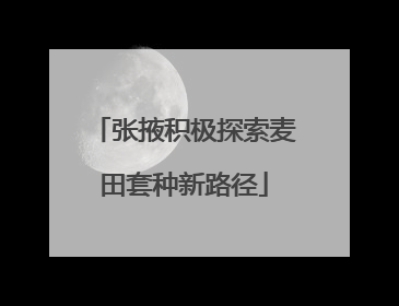 张掖积极探索麦田套种新路径