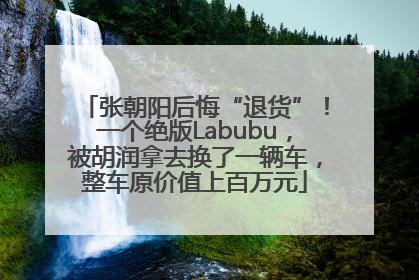 张朝阳后悔“退货”！一个绝版Labubu，被胡润拿去换了一辆车，整车原价值上百万元