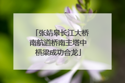 张靖皋长江大桥南航道桥南主塔中横梁成功合龙