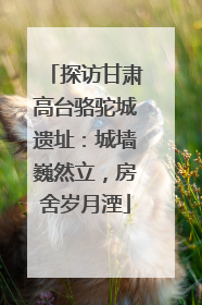 探访甘肃高台骆驼城遗址：城墙巍然立，房舍岁月湮