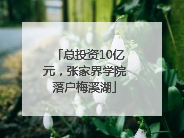 总投资10亿元，张家界学院落户梅溪湖