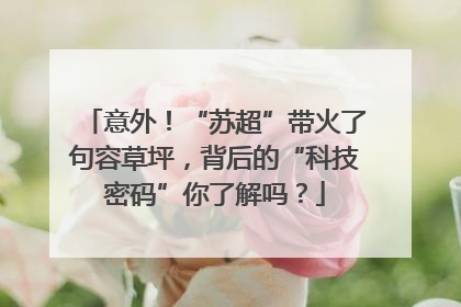 意外！“苏超”带火了句容草坪，背后的“科技密码”你了解吗？