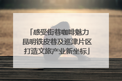 感受街巷咖啡魅力 昆明铁皮巷及巡津片区打造文旅产业新坐标