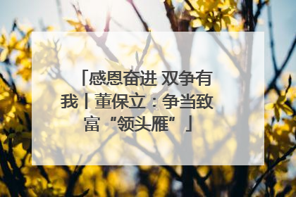 感恩奋进 双争有我丨董保立：争当致富“领头雁”
