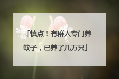 慎点！有群人专门养蚊子，已养了几万只