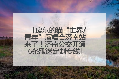 房东的猫“世界/青年”演唱会济南站来了！济南公交开通6条歌迷定制专线