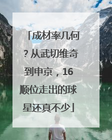 成材率几何？从武切维奇到申京，16顺位走出的球星还真不少