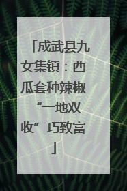 成武县九女集镇：西瓜套种辣椒 “一地双收”巧致富