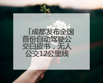 成都发布全国首份自动驾驶公交白皮书，无人公交12公里线路即将实测