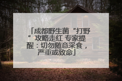 成都野生菌“打野”攻略走红 专家提醒：切勿随意采食，严重或致命