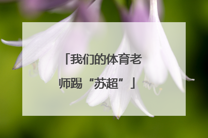 我们的体育老师踢“苏超”