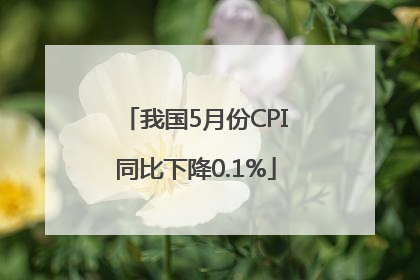 我国5月份CPI同比下降0.1%