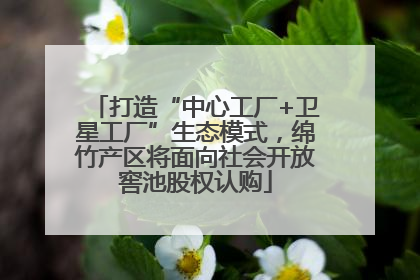 打造“中心工厂+卫星工厂”生态模式，绵竹产区将面向社会开放窖池股权认购