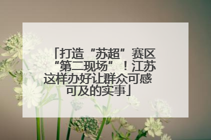 打造“苏超”赛区“第二现场”！江苏这样办好让群众可感可及的实事