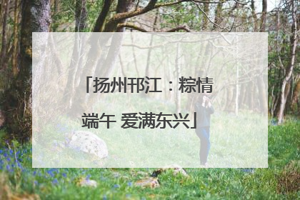 扬州邗江：粽情端午 爱满东兴