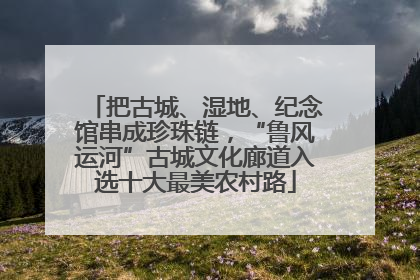 把古城、湿地、纪念馆串成珍珠链，“鲁风运河”古城文化廊道入选十大最美农村路