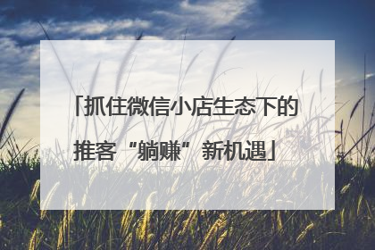 抓住微信小店生态下的推客“躺赚”新机遇