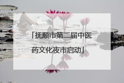 抚顺市第二届中医药文化夜市启动