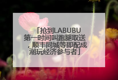 抢到LABUBU第一时间叫跑腿取送，顺丰同城等即配成潮玩经济参与者