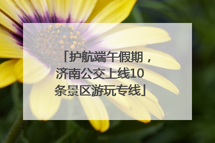 护航端午假期，济南公交上线10条景区游玩专线