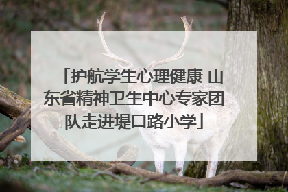 护航学生心理健康 山东省精神卫生中心专家团队走进堤口路小学