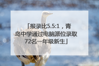 报录比5.5:1，青岛中学通过电脑派位录取72名一年级新生