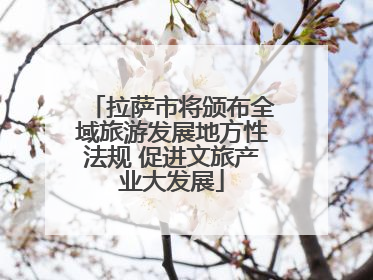拉萨市将颁布全域旅游发展地方性法规 促进文旅产业大发展