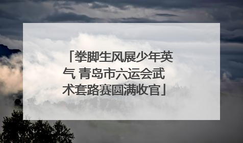拳脚生风展少年英气 青岛市六运会武术套路赛圆满收官