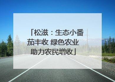 松滋：生态小番茄丰收 绿色农业助力农民增收