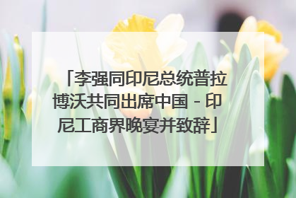 李强同印尼总统普拉博沃共同出席中国－印尼工商界晚宴并致辞