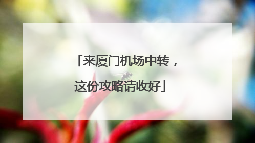 来厦门机场中转，这份攻略请收好