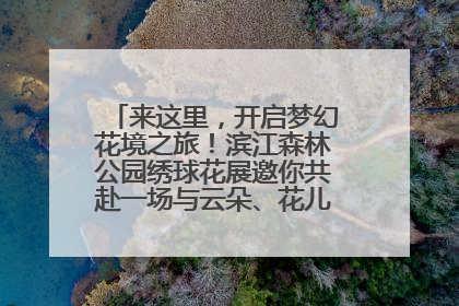 来这里，开启梦幻花境之旅！滨江森林公园绣球花展邀你共赴一场与云朵、花儿的浪漫之约