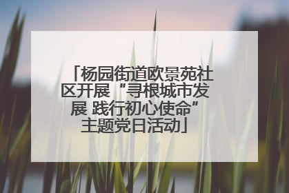杨园街道欧景苑社区开展“寻根城市发展 践行初心使命”主题党日活动