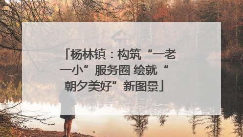 杨林镇:构筑“一老一小”服务圈 绘就“朝夕美好”新图景