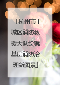 杭州市上城区消防救援大队绘就基层消防治理新图景