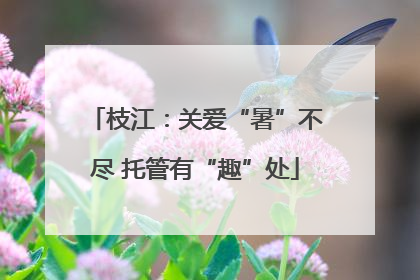 枝江：关爱“暑”不尽 托管有“趣”处