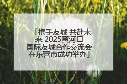 携手友城 共赴未来 2025黄河口国际友城合作交流会在东营市成功举办
