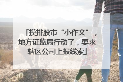 摸排股市“小作文”，地方证监局行动了，要求辖区公司上报线索