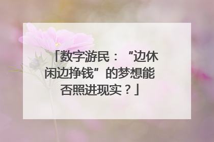 数字游民：“边休闲边挣钱”的梦想能否照进现实？