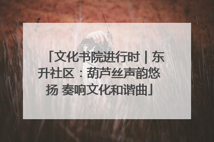 文化书院进行时｜东升社区：葫芦丝声韵悠扬 奏响文化和谐曲