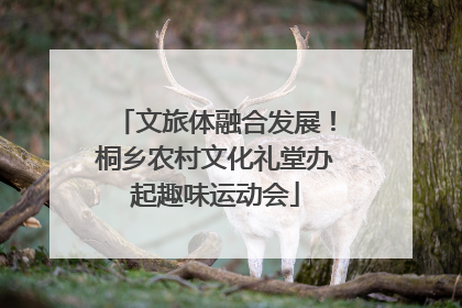 文旅体融合发展！桐乡农村文化礼堂办起趣味运动会