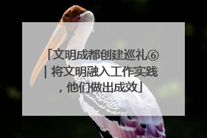 文明成都创建巡礼⑥｜将文明融入工作实践，他们做出成效