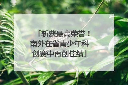 斩获最高荣誉！南外在省青少年科创赛中再创佳绩