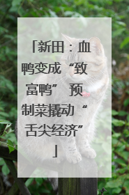 新田：血鸭变成“致富鸭” 预制菜撬动“舌尖经济”