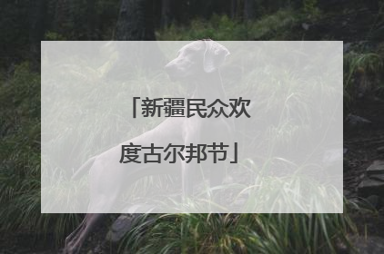 新疆民众欢度古尔邦节