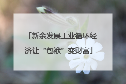 新余发展工业循环经济让“包袱”变财富